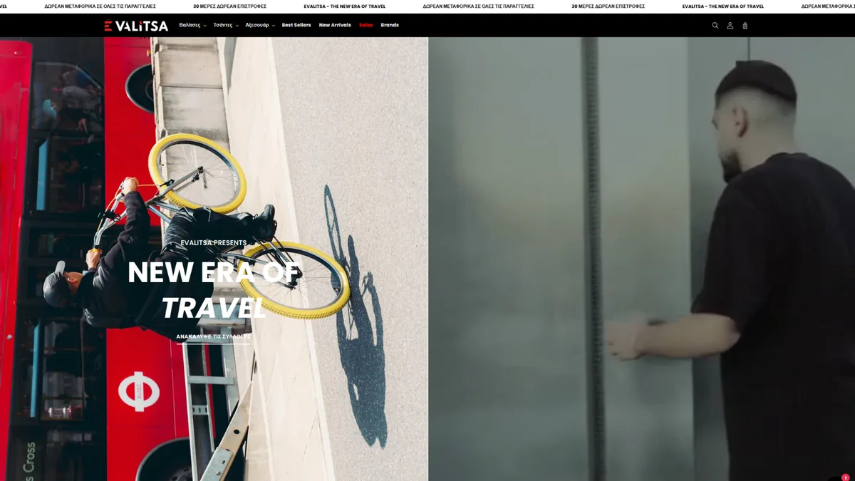 EVALITSA website preview